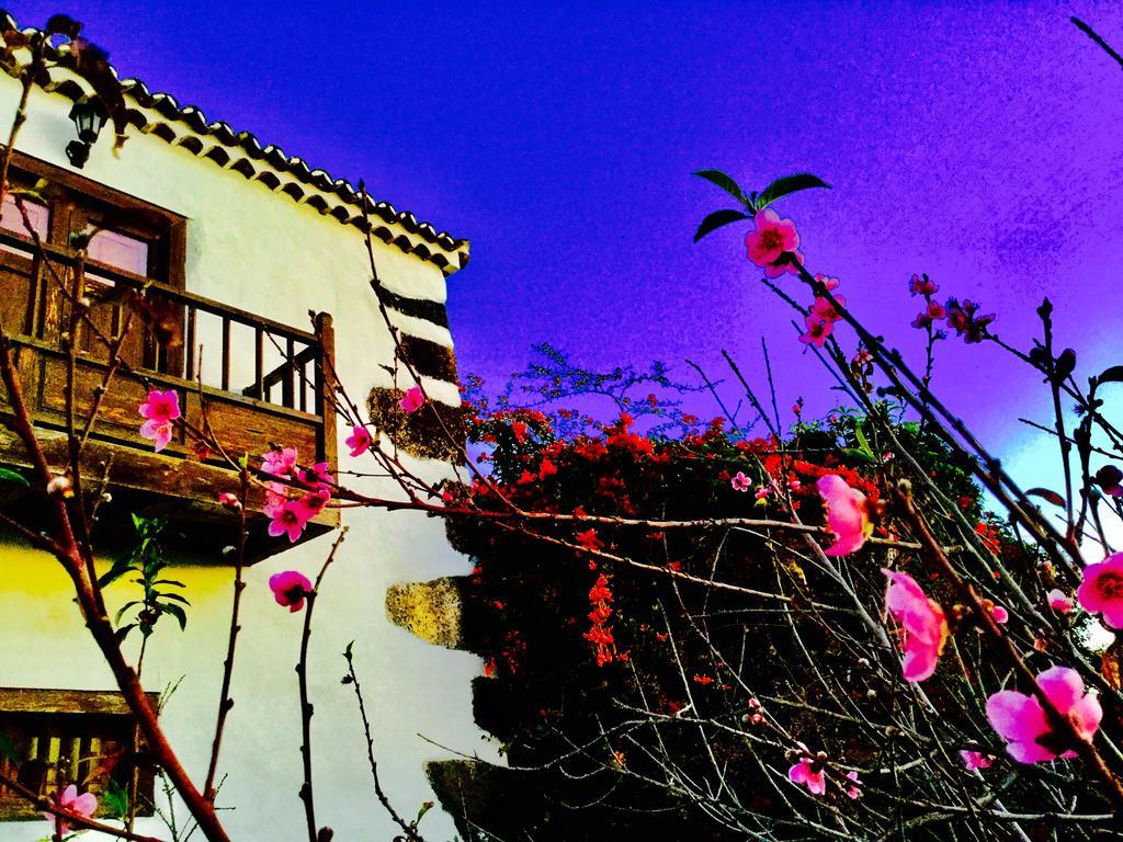 Finca Valentina Tigalate Bagian luar foto