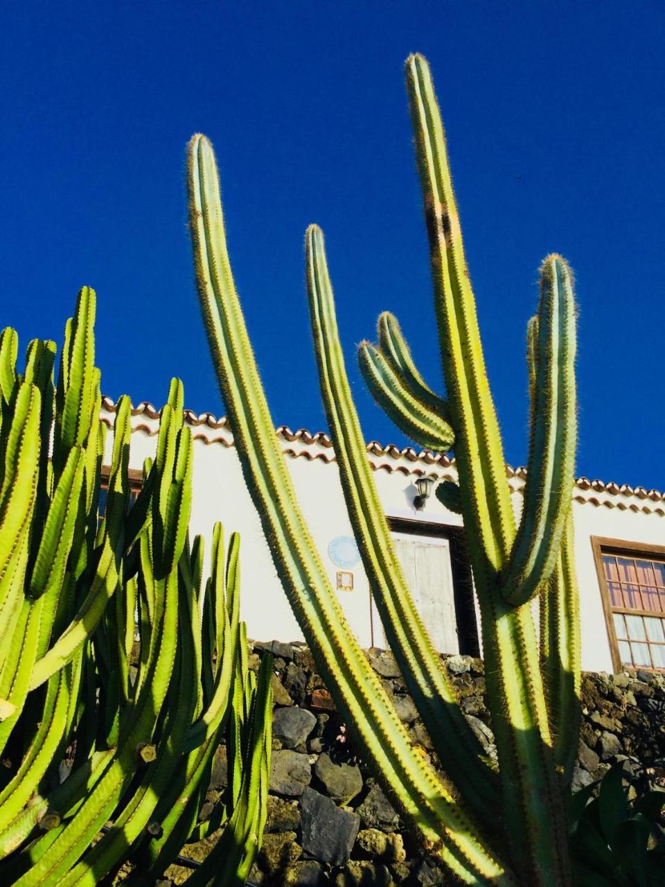Finca Valentina Tigalate Bagian luar foto
