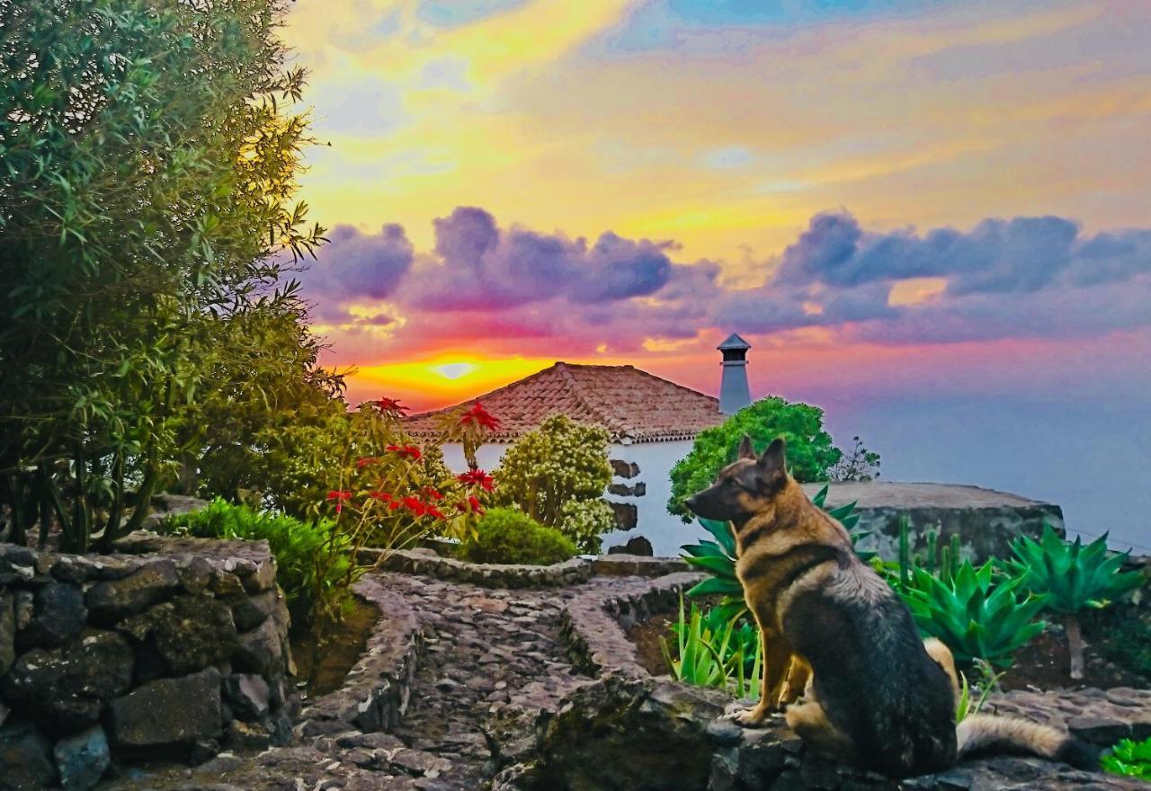 Finca Valentina Tigalate Bagian luar foto