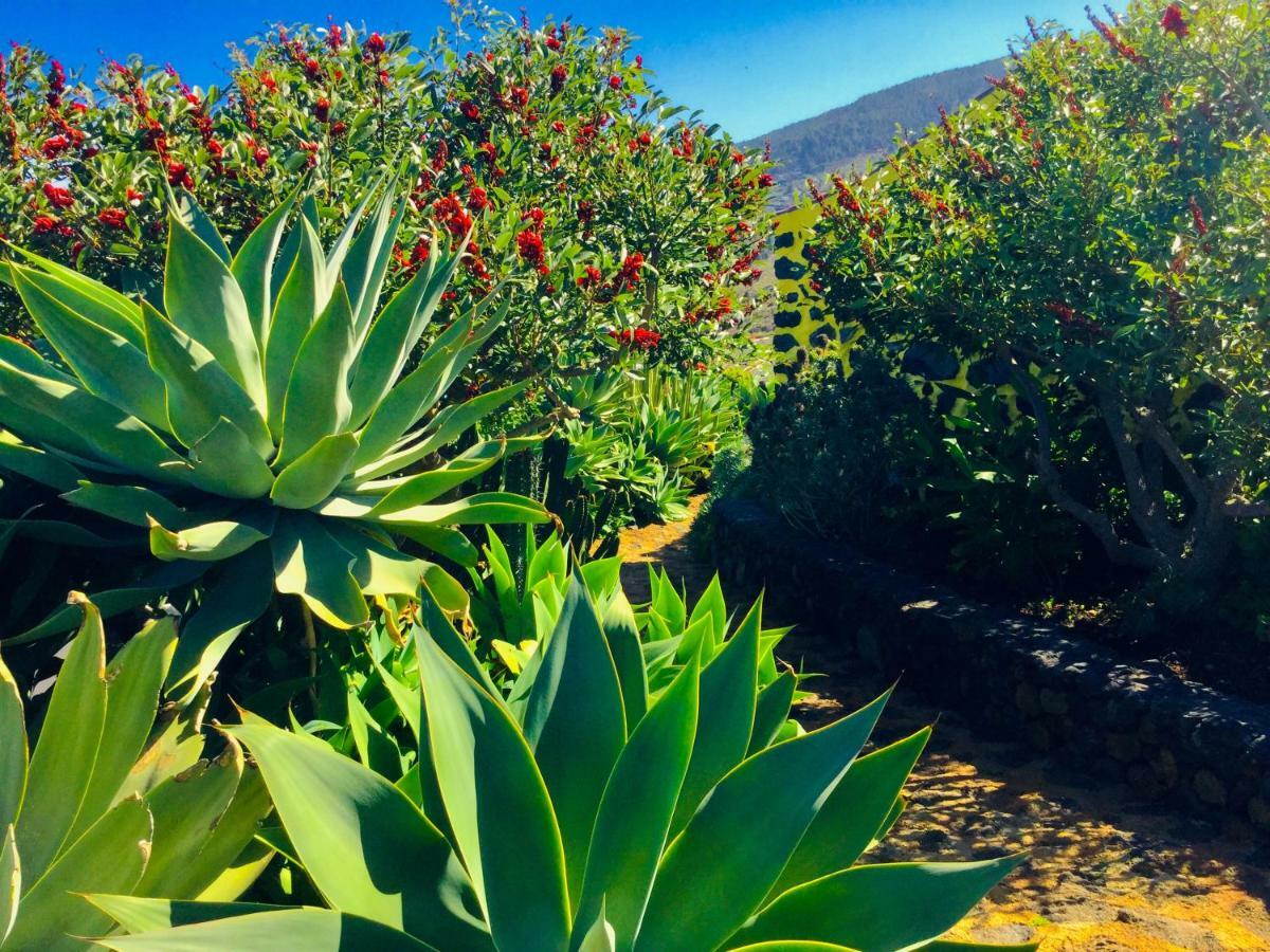 Finca Valentina Tigalate Bagian luar foto